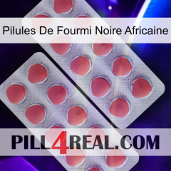 African Black Ant Pills 19